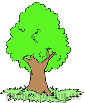 раскидистое-дерево картинки