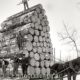 Лесозаготовка в США в начале 20 века