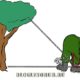Как измерить высоту дерева