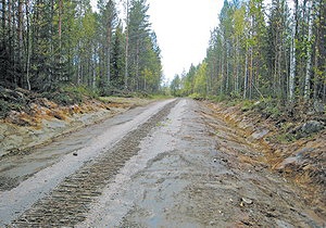 лесная дорога в Финляндии после ремонта